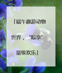 端午趣游动物世界，“粽享”量级欢乐