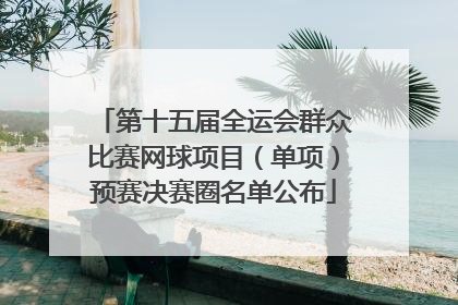 第十五届全运会群众比赛网球项目（单项）预赛决赛圈名单公布