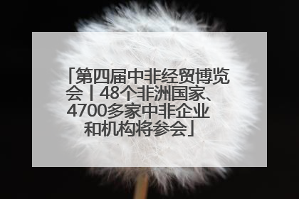 第四届中非经贸博览会丨48个非洲国家、4700多家中非企业和机构将参会