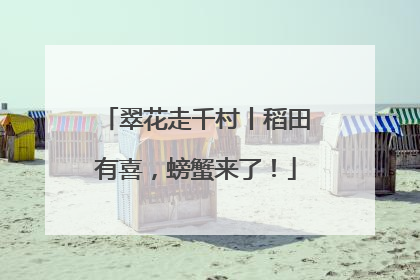 翠花走千村丨稻田有喜，螃蟹来了！