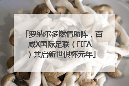 罗纳尔多燃情助阵，百威X国际足联（FIFA）共启新世俱杯元年