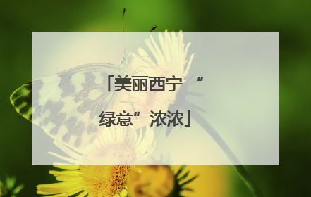 美丽西宁 “绿意”浓浓