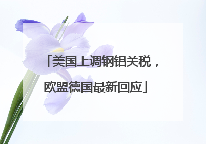 美国上调钢铝关税，欧盟德国最新回应