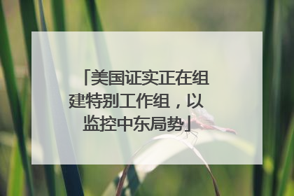美国证实正在组建特别工作组，以监控中东局势