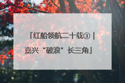 红船领航二十载③｜嘉兴“破浪”长三角