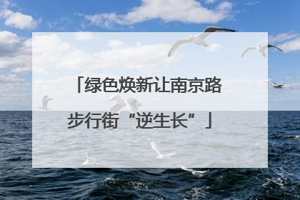 绿色焕新让南京路步行街“逆生长”