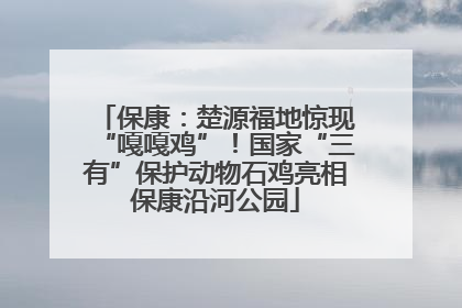 保康：楚源福地惊现“嘎嘎鸡”！国家“三有”保护动物石鸡亮相保康沿河公园