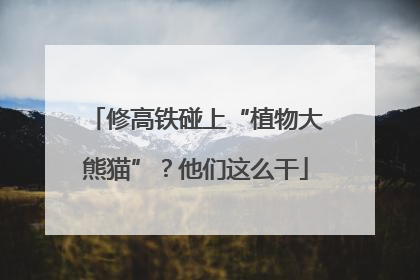 修高铁碰上“植物大熊猫”？他们这么干