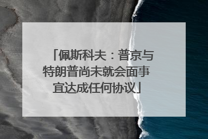 佩斯科夫：普京与特朗普尚未就会面事宜达成任何协议