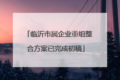 临沂市属企业重组整合方案已完成初稿