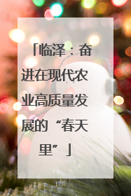 临泽：奋进在现代农业高质量发展的“春天里”