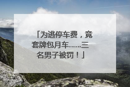 为逃停车费，竟套牌包月车……三名男子被罚！