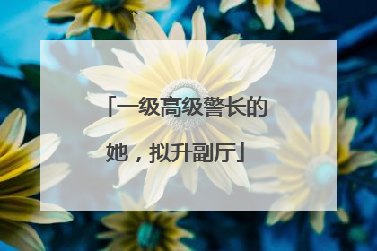 一级高级警长的她，拟升副厅