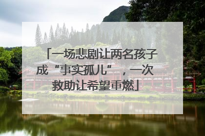 一场悲剧让两名孩子成“事实孤儿”，一次救助让希望重燃