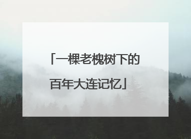 一棵老槐树下的百年大连记忆