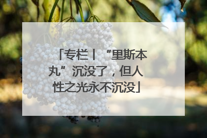 专栏丨“里斯本丸”沉没了，但人性之光永不沉没