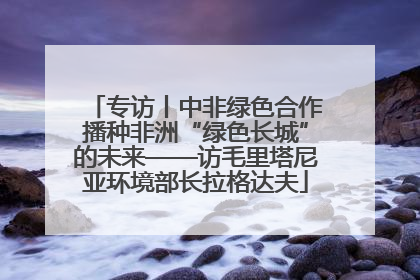 专访丨中非绿色合作播种非洲“绿色长城”的未来——访毛里塔尼亚环境部长拉格达夫