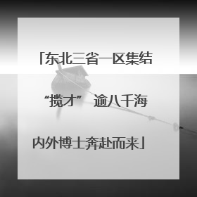 东北三省一区集结“揽才” 逾八千海内外博士奔赴而来