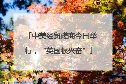 中美经贸磋商今日举行，“英国很兴奋”