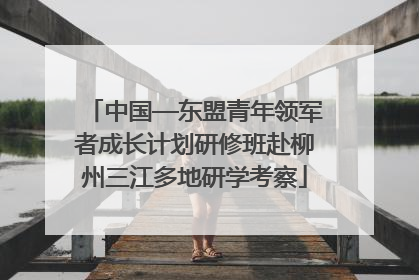 中国—东盟青年领军者成长计划研修班赴柳州三江多地研学考察