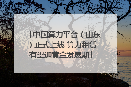 中国算力平台（山东）正式上线 算力租赁有望迎黄金发展期