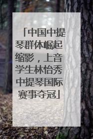 中国中提琴群体崛起缩影，上音学生林怡秀中提琴国际赛事夺冠