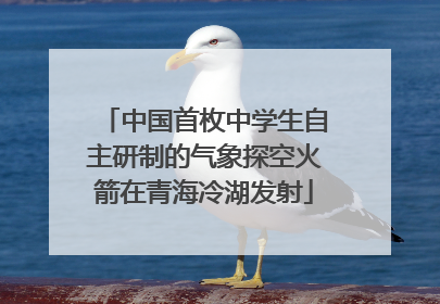 中国首枚中学生自主研制的气象探空火箭在青海冷湖发射