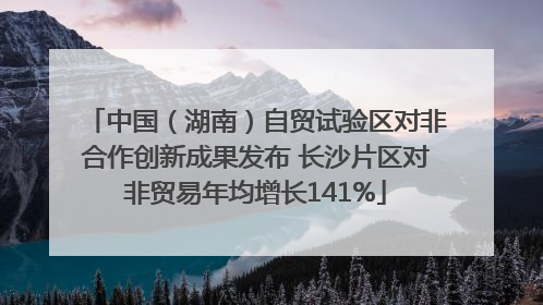 中国（湖南）自贸试验区对非合作创新成果发布 长沙片区对非贸易年均增长141%