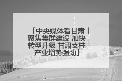 中央媒体看甘肃丨聚焦集群建设 加快转型升级 甘肃支柱产业增势强劲