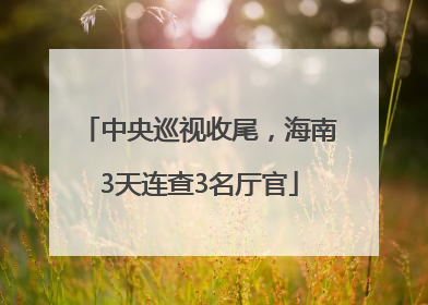 中央巡视收尾，海南3天连查3名厅官