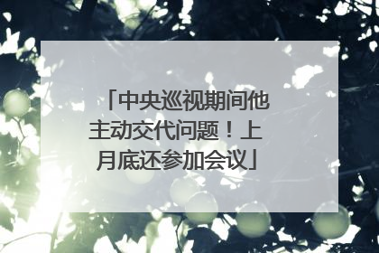 中央巡视期间他主动交代问题！上月底还参加会议