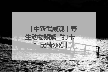 中新武威观｜野生动物频繁“打卡”民勤沙漠