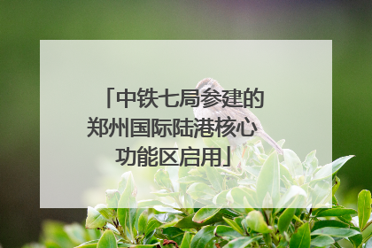 中铁七局参建的郑州国际陆港核心功能区启用