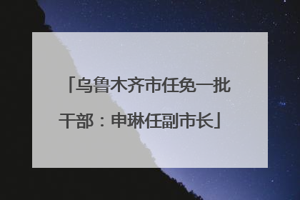 乌鲁木齐市任免一批干部：申琳任副市长