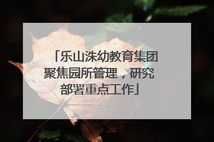 乐山洙幼教育集团聚焦园所管理，研究部署重点工作