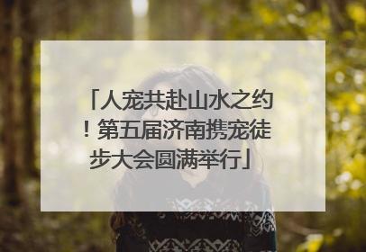 人宠共赴山水之约！第五届济南携宠徒步大会圆满举行