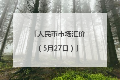 人民币市场汇价（5月27日）