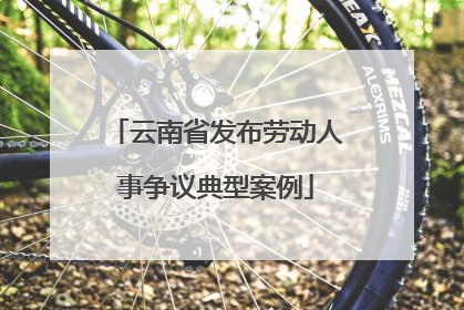 云南省发布劳动人事争议典型案例