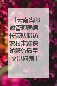 云南省邮政管理局局长带队暗访农村末端快递服务质量突出问题