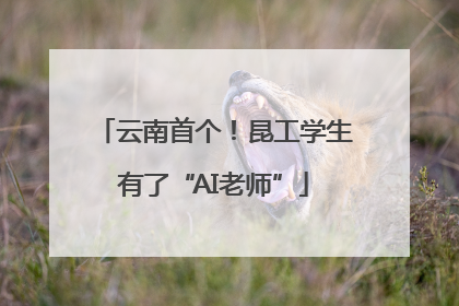 云南首个！昆工学生有了“AI老师”