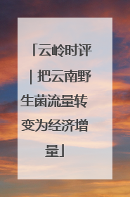 云岭时评｜把云南野生菌流量转变为经济增量