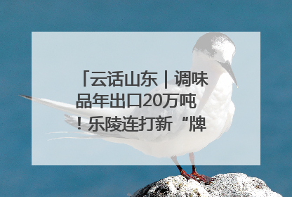云话山东｜调味品年出口20万吨！乐陵连打新“牌”助力企业出海
