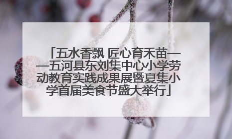 五水香飘 匠心育禾苗——五河县东刘集中心小学劳动教育实践成果展暨夏集小学首届美食节盛大举行