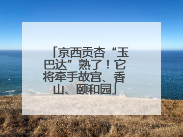 京西贡杏“玉巴达”熟了！它将牵手故宫、香山、颐和园