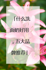 什么洗面奶好用，五大品牌推荐