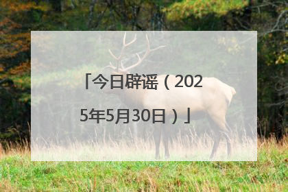 今日辟谣（2025年5月30日）
