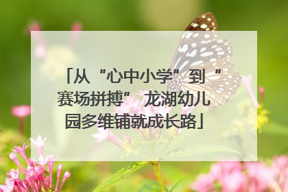 从“心中小学”到“赛场拼搏” 龙湖幼儿园多维铺就成长路