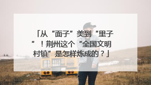 从“面子”美到“里子”！荆州这个“全国文明村镇”是怎样炼成的？