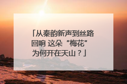 从秦韵新声到丝路回响 这朵“梅花”为何开在天山？