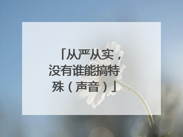 从严从实，没有谁能搞特殊（声音）
